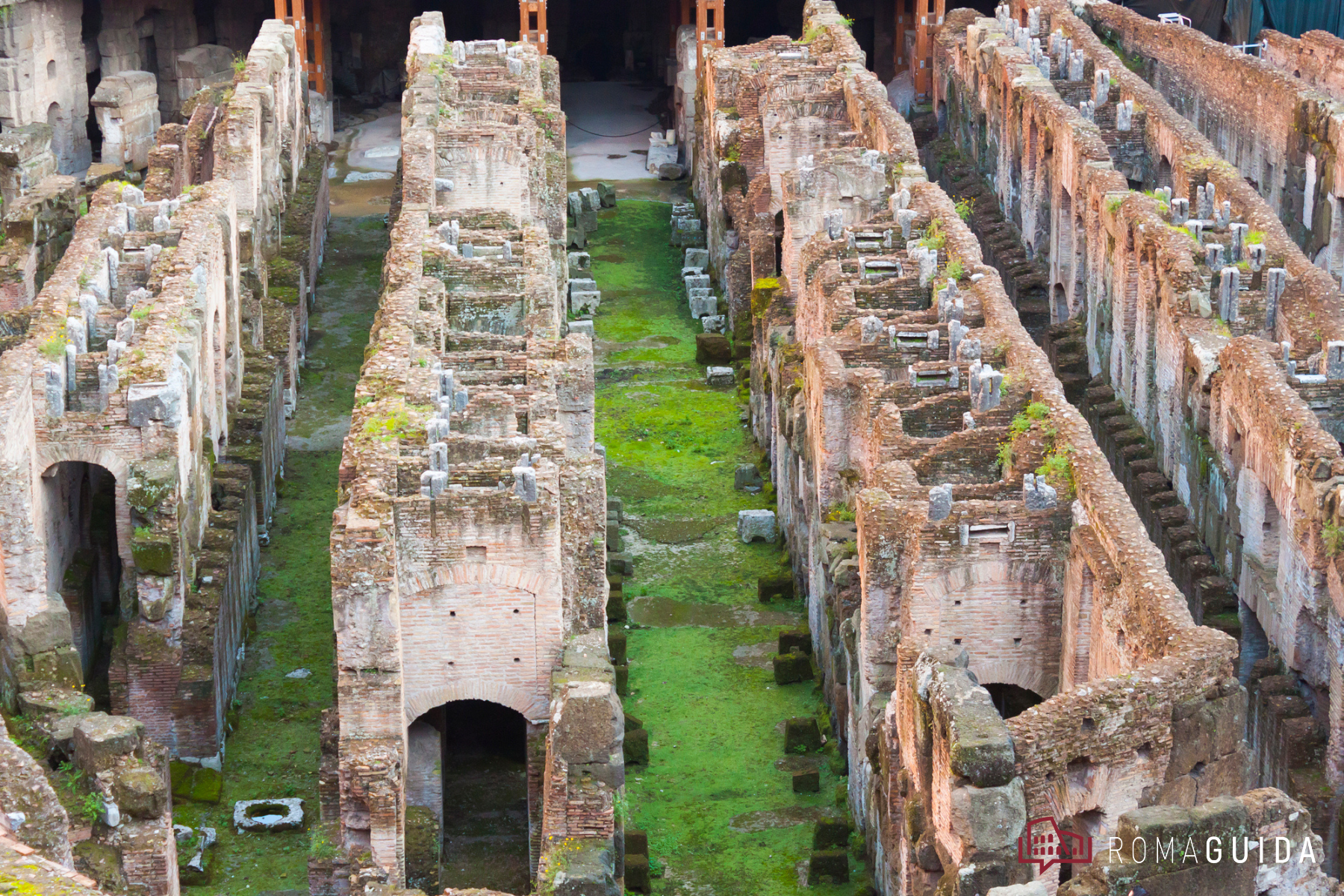 Visita guidata Colosseo Roma