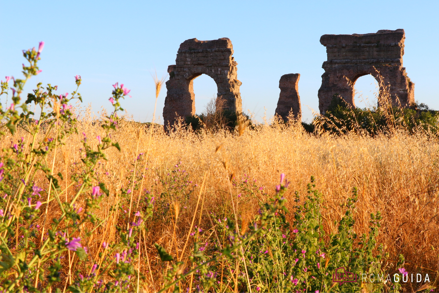 Visita guidata Parco Acquedotti Roma