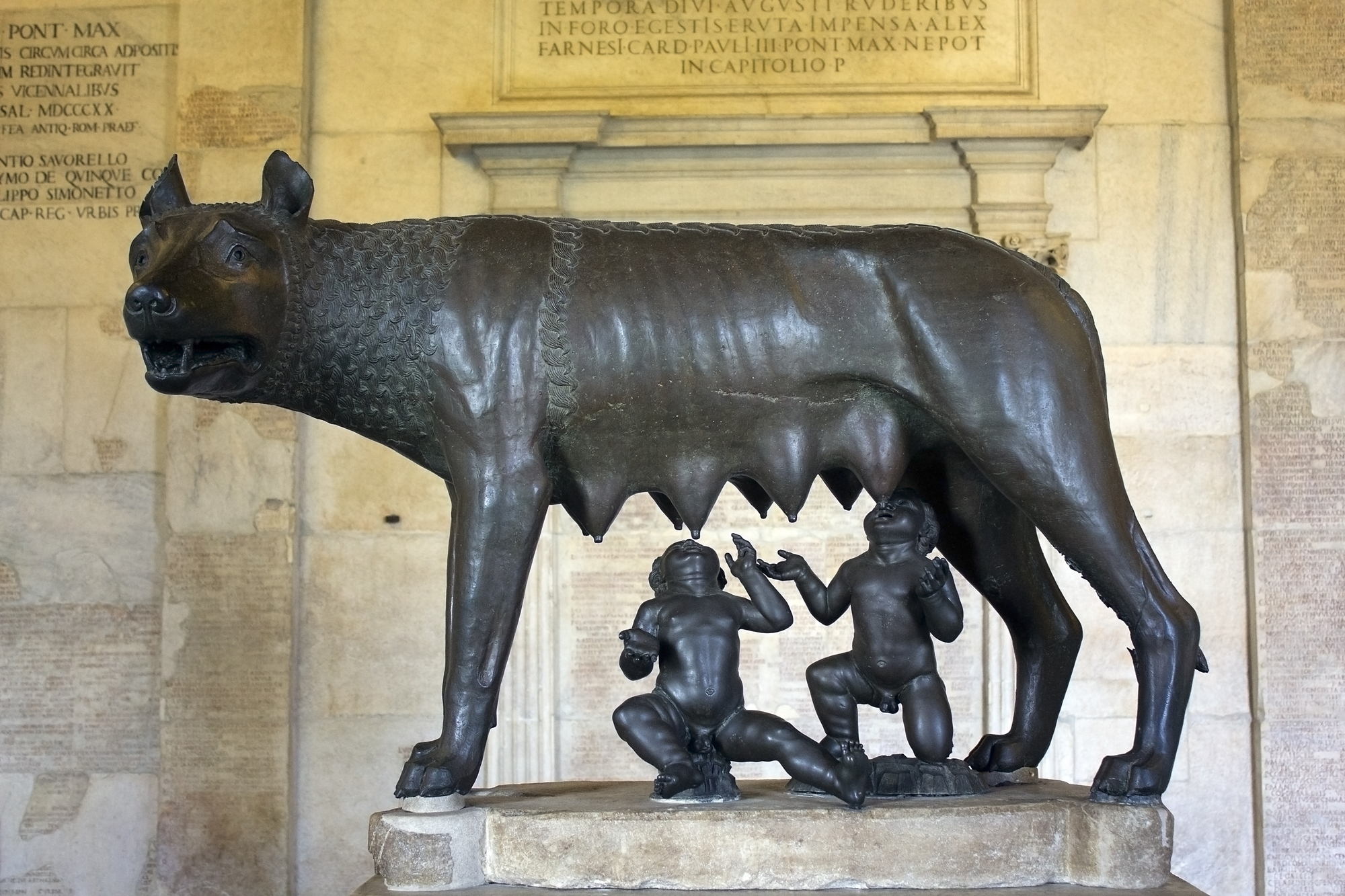 Visita Guidata Musei Capitolini Roma