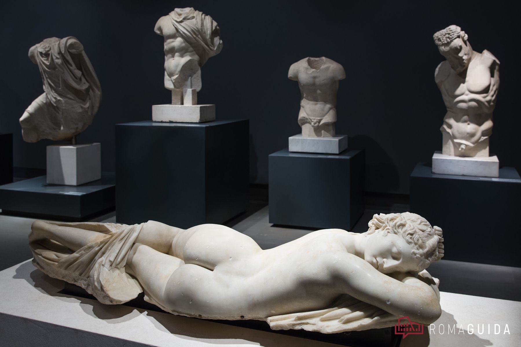 Visita guidata Museo Palazzo Massimo