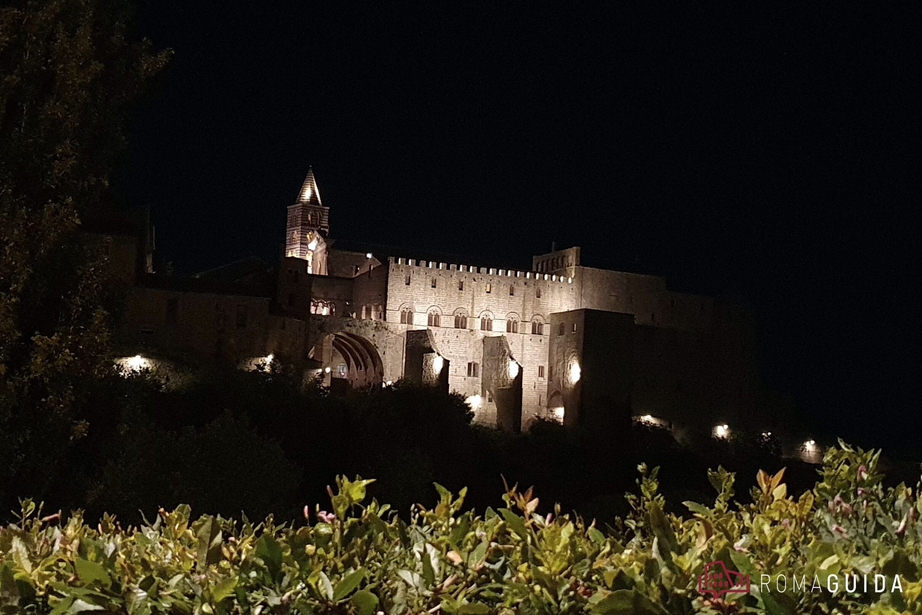 Visita guidata Viterbo